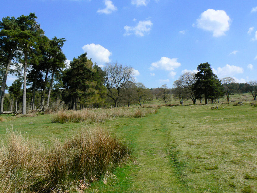 Longshaw Estate Longshaw Estate